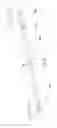 Fig. 13 - Protective case for mobile device