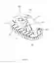 Fig. 03 - Dispensing brush