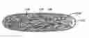 Fig. 01 - CUSHION FILLER MATERIAL