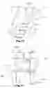 Fig. 13 - Can Dispenser and Merchandiser