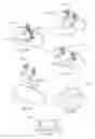 Fig. 83 - Standing surface to encourage movement