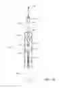 Fig. 64 - Tug activated motorized window covering having an external battery tube