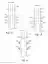 Fig. 11 - BEVERAGE BREWER AND RELATED METHODS FOR BREWING BEVERAGES