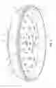 Fig. 04 - Cookware lid with basting projections