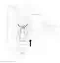 Fig. 01 - Leakproof flexible container for liquid soap