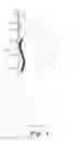 Fig. 02 - WALL-MOUNTED BACK SCRUBBER