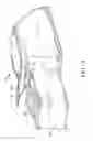 Fig. 20 - Dispenser