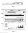 Fig. 02 - Methods and systems for reducing irritability in infants