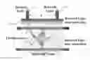 Fig. 01 - System and method for measuring phase delay and amplitude of a near infra-red signal in animal tissue