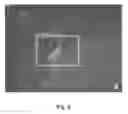 Fig. 07 - Neural interfacing device