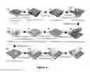 Fig. 07 - Transparent, flexible, low-noise electrodes for simultaneous electrophysiology and neuro-imaging