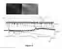 Fig. 10 - Transparent, flexible, low-noise electrodes for simultaneous electrophysiology and neuro-imaging