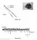 Fig. 14 - Transparent, flexible, low-noise electrodes for simultaneous electrophysiology and neuro-imaging