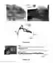 Fig. 15 - Transparent, flexible, low-noise electrodes for simultaneous electrophysiology and neuro-imaging