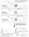 Fig. 01 - SYSTEM AND METHODS FOR QUANTITATIVELY DESCRIBING BIOPHYSICAL MARKERS