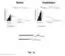 Fig. 11 - SYSTEM AND METHODS FOR QUANTITATIVELY DESCRIBING BIOPHYSICAL MARKERS