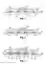 Fig. 02 - COMBINATORIAL SENSING OF SWEAT BIOMARKERS USING POTENTIOMETRIC AND IMPEDANCE MEASUREMENTS