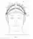Fig. 06 - Methods and apparatus to gather and analyze electroencephalographic data