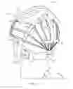 Fig. 11 - Methods and apparatus to gather and analyze electroencephalographic data