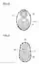 Fig. 08 - Medical device