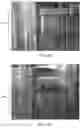 Fig. 14 - Gene analysis and generation of stem cell methods and apparatus
