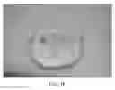 Fig. 17 - Gene analysis and generation of stem cell methods and apparatus