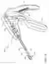Fig. 18 - Prosthetic suturing device and methods thereof