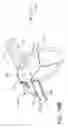 Fig. 22 - Prosthetic suturing device and methods thereof