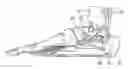Fig. 01 - Arthroscopic surgery method for ankle impingement