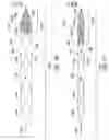 Fig. 108 - Clot retrieval system