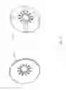 Fig. 04 - Nasal balloon catheter and sponge unit
