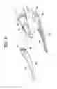 Fig. 07 - Surgical devices with articulating end effectors and methods of using surgical devices with articulating end effectors
