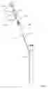 Fig. 09 - CANNULA AND CANNULA ASSEMBLY