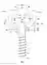 Fig. 08 - Double-headed pedicle screw