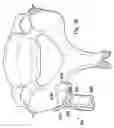 Fig. 30 - Posterior stabilization systems and methods