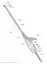 Fig. 01 - Method and system related to electrosurgical procedures