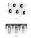 Fig. 08 - APPARATUS AND METHOD FOR PRODUCING VERY SMALL MICROCHANNELS IN TISSUE