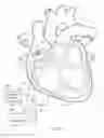 Fig. 06 - MAGNETICALLY COUPLING DEVICES FOR MAPPING AND/OR ABLATING