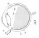 Fig. 04 - Systems and methods for a hand-controllable surgical illumination device