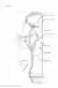 Fig. 06 - Injection device for administration of an injection to an animal