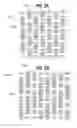 Fig. 03 - Textured woven fabric for use in implantable bioprostheses
