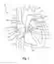 Fig. 02 - Prosthetic mitral valve coaptation enhancement device