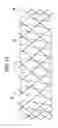 Fig. 10 - STENTS FOR PLACEMENT IN AN ANATOMICAL PASSAGEWAY AND METHODS