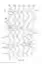 Fig. 06 - Thin-walled scaffolds having flexible distal end