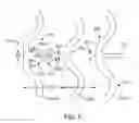Fig. 12 - Thin-walled scaffolds having flexible distal end