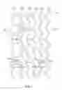 Fig. 13 - Thin-walled scaffolds having flexible distal end