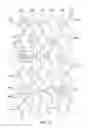 Fig. 06 - Thin-walled scaffolds having modified marker structure near distal end
