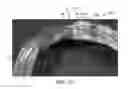 Fig. 19 - Thin-walled scaffolds having modified marker structure near distal end