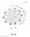 Fig. 29 - Stents and stent deployment devices