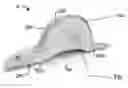 Fig. 01 - SWEAT PAD AND METHODS OF USING SAME
